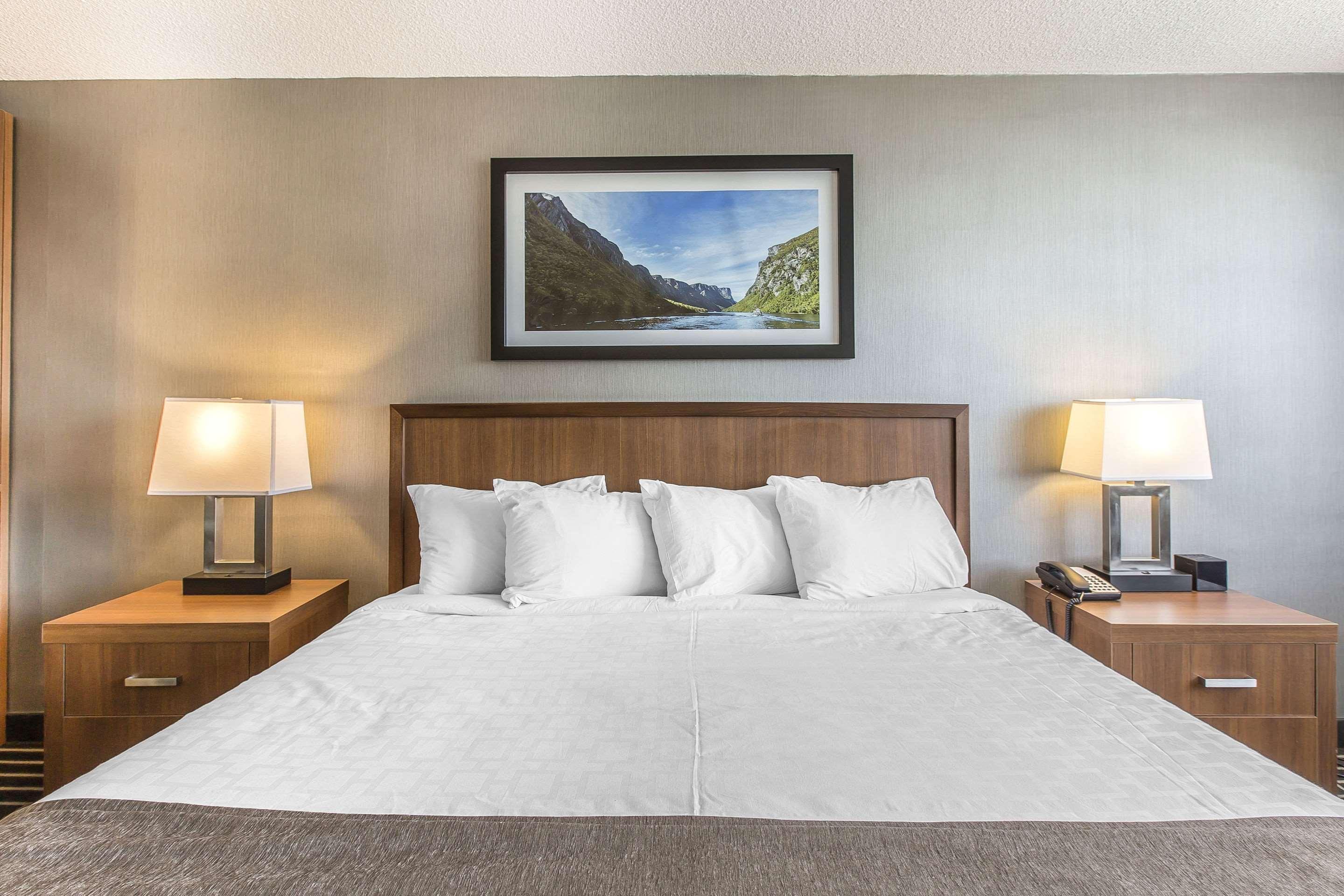 Quality Inn Корнър Брук Екстериор снимка