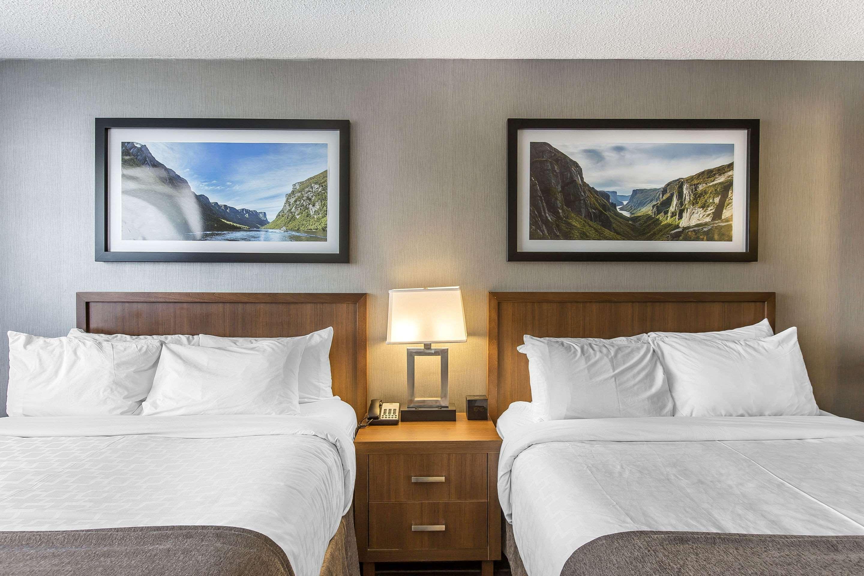 Quality Inn Корнър Брук Екстериор снимка